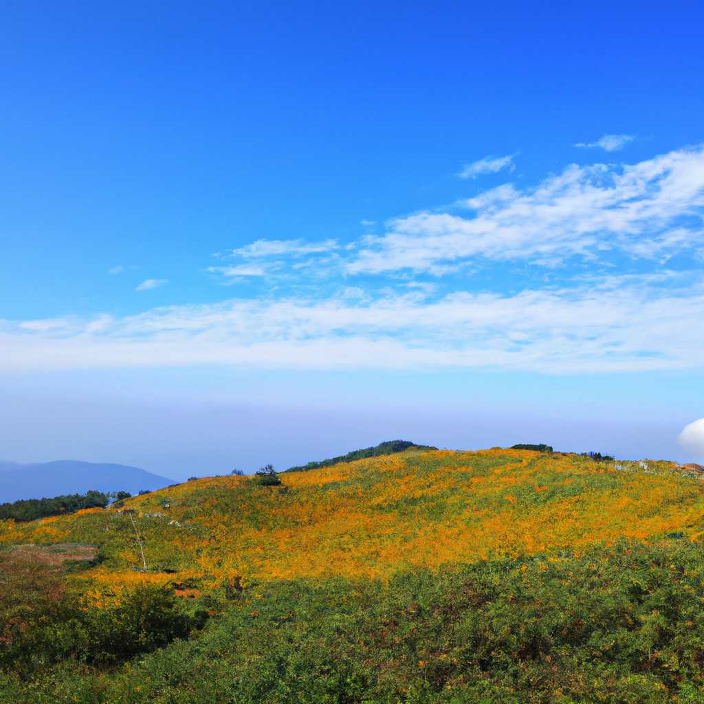 AI 스튜디오 입문자를 위한 실전 프로젝트 기획과 실행 순서