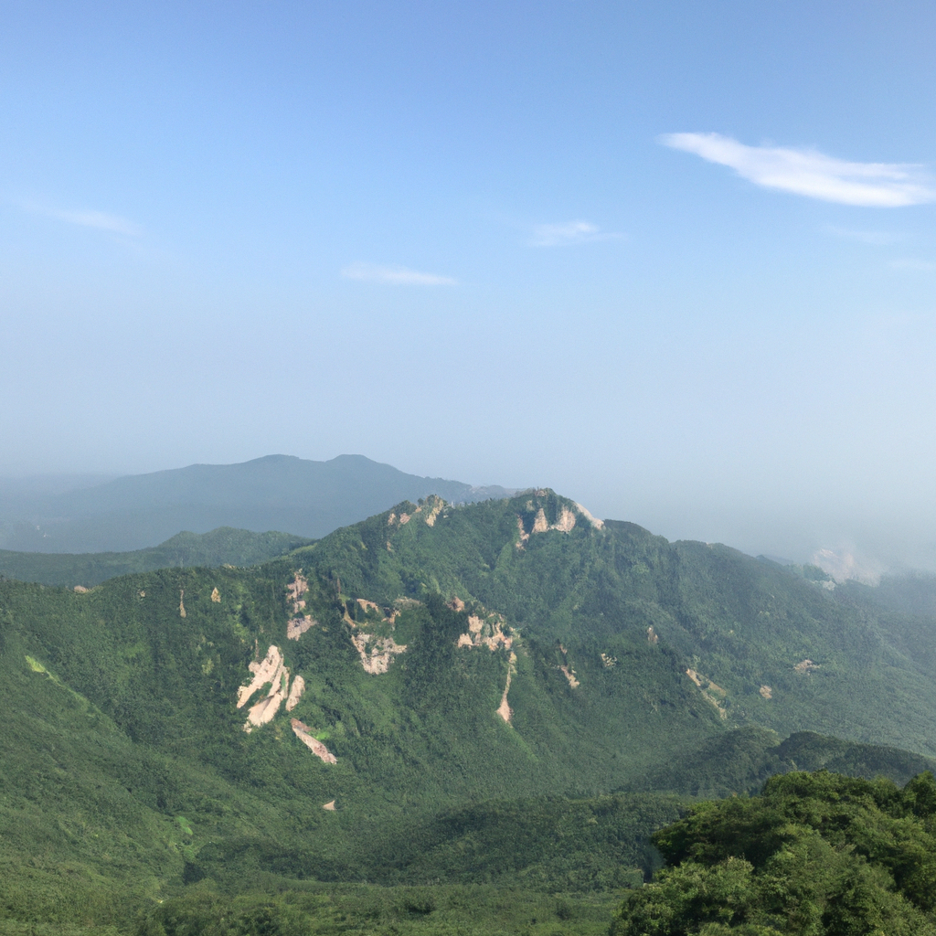 전자레인지 사용할 때 알아두면 좋은 꿀팁