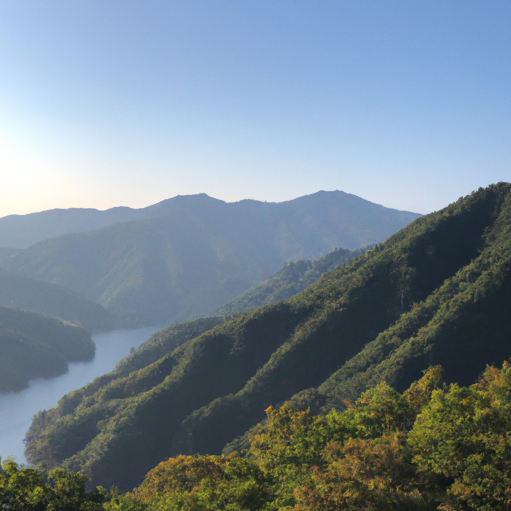 초보자를 위한 주식 투자 기초: 계좌&middot;종목&middot;분산의 실제 가이드
