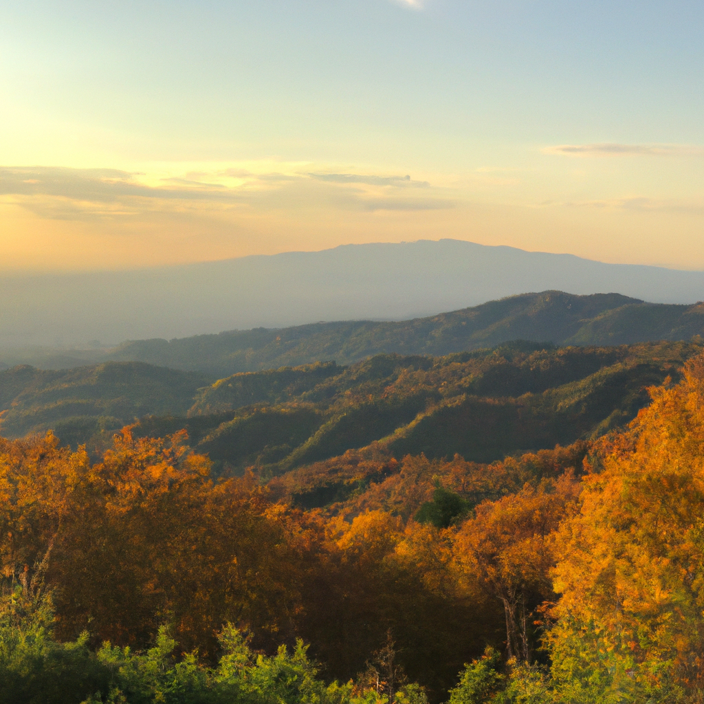 집에서 손쉽게 하는 응급처치 기본 순서와 준비물 체크리스트