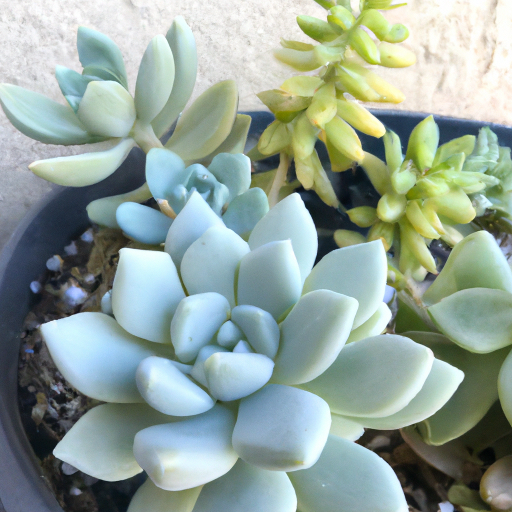 아이 방 안전사고 예방을 위한 가구 고정·전선 정리 실무 가이드