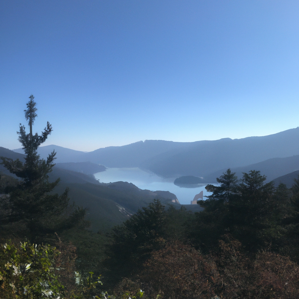 작은 집에서도 수납력 극대화하는 다목적 가구 배치 방법