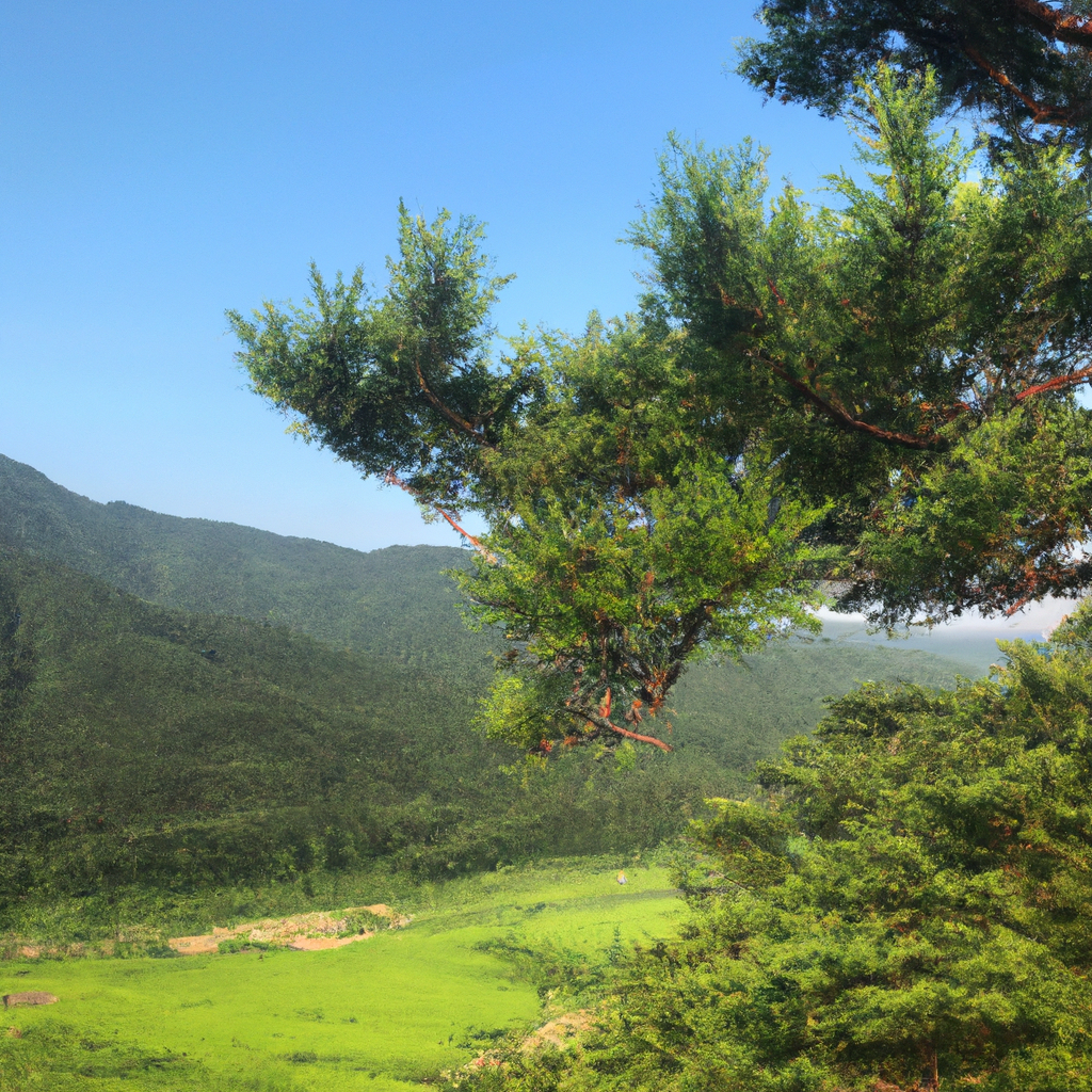 재택근무 생산성 향상 위한 하루 루틴과 방해 요소 차단법