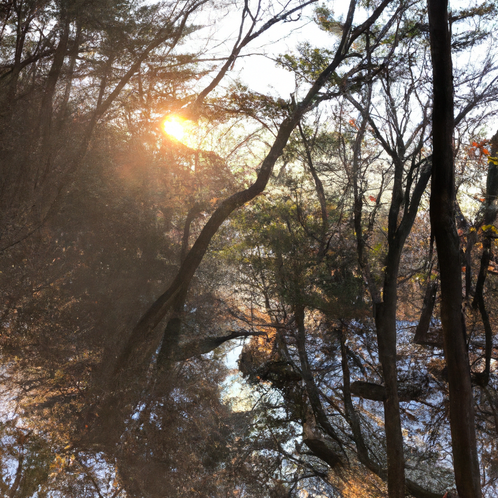 여름철 생활 관리 꿀팁