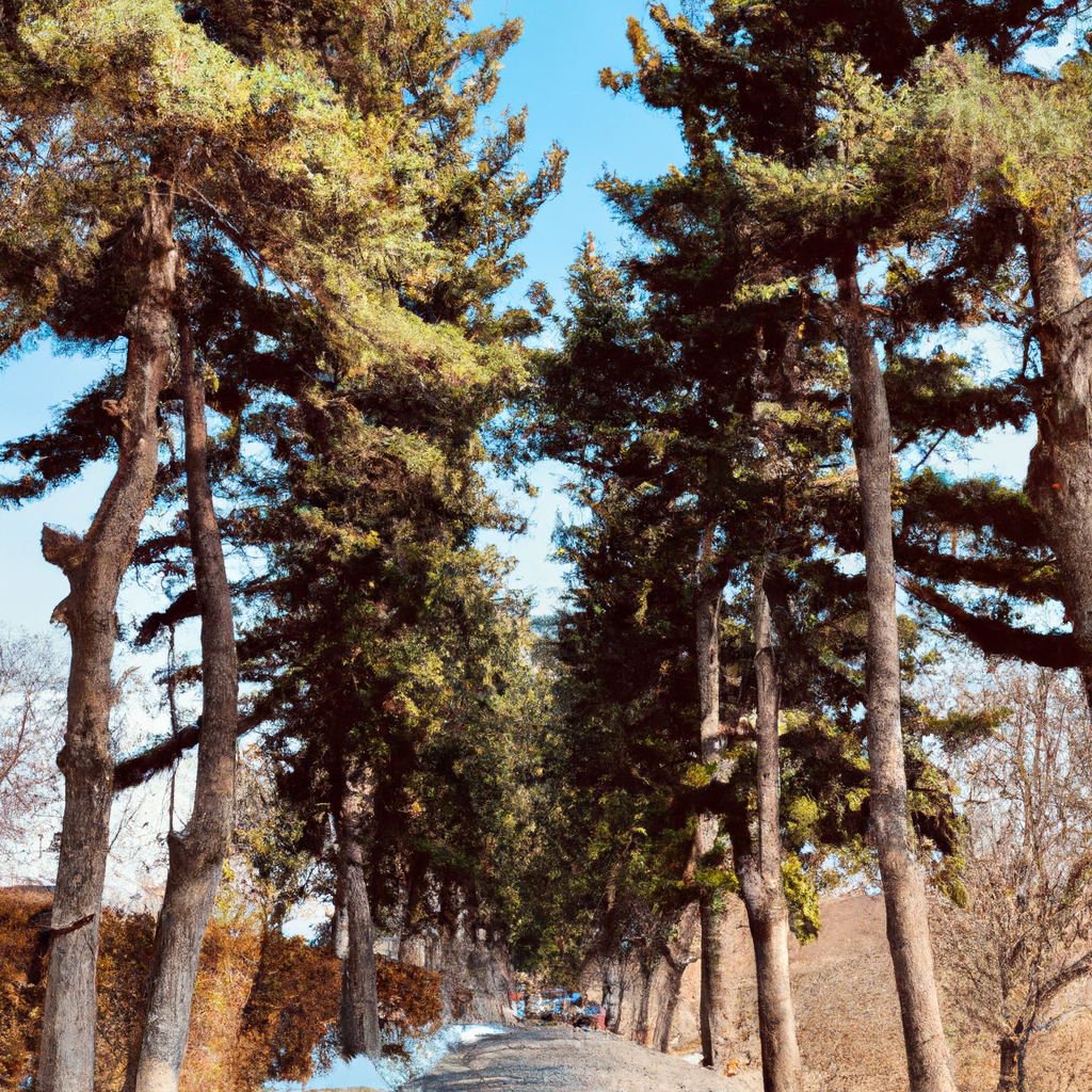 집에서 작은 텃밭으로 채소 기르기 시작하는 초간단 안내서