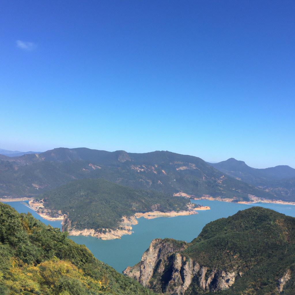 반려견 외출 준비 체크리스트와 안전하게 이동하는 요령