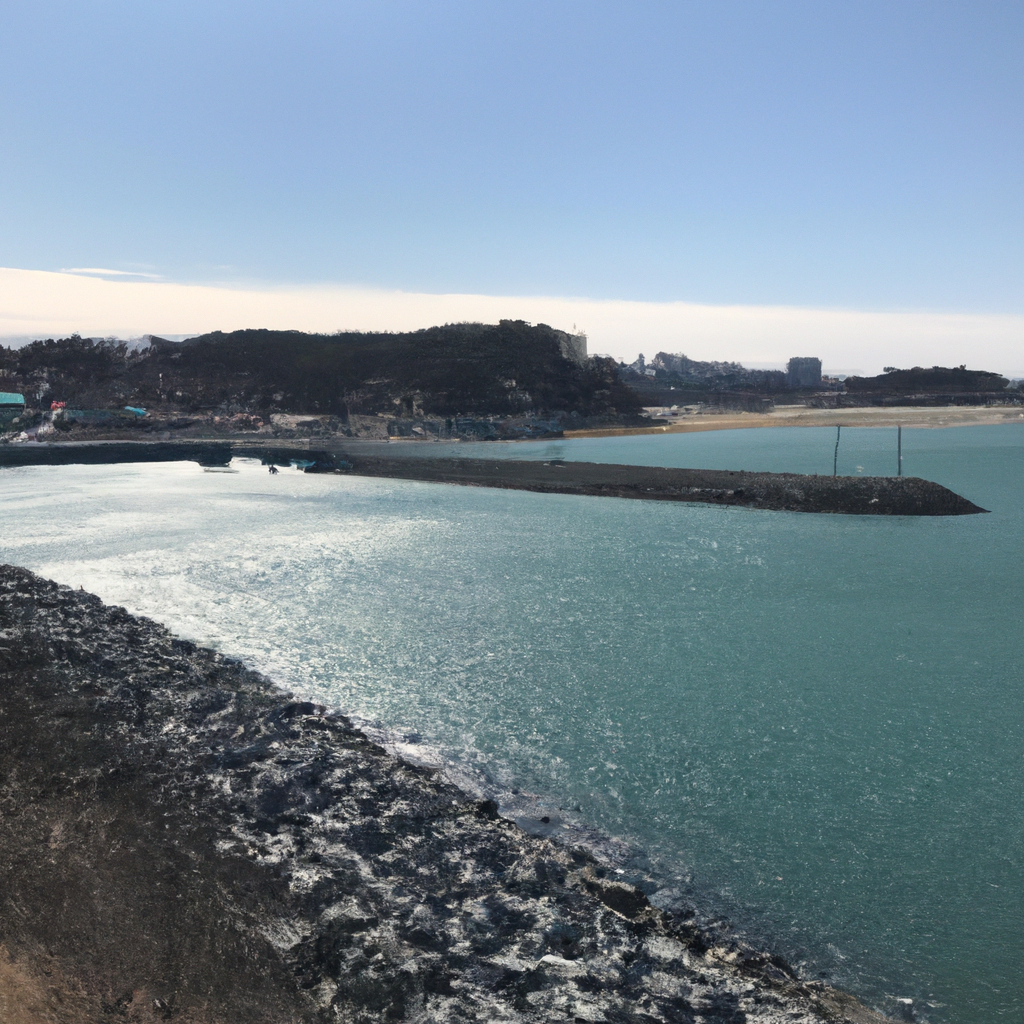 집에서 만드는 천연 방충제와 효과적으로 쓰는 방법