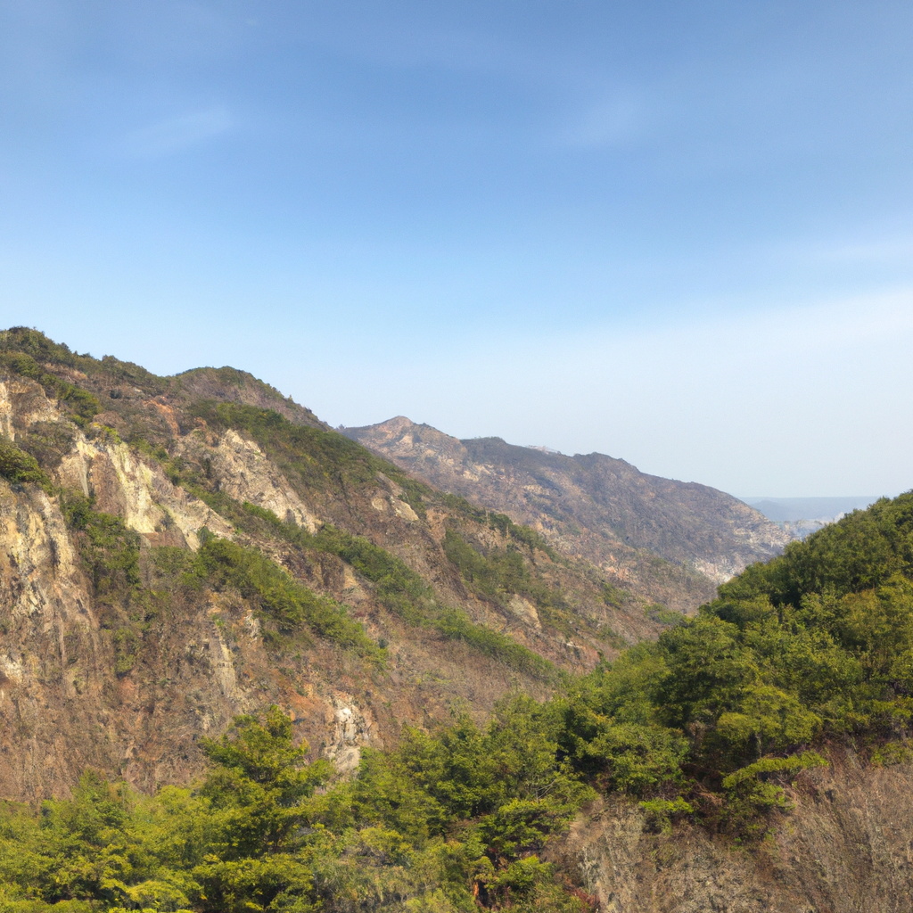 생활 속 물건 정리 방법