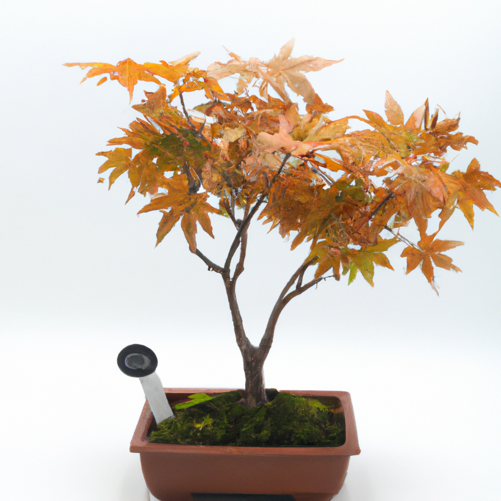 가성비 높은 홈오피스 구축: 의자·책상·조명 선택 가이드