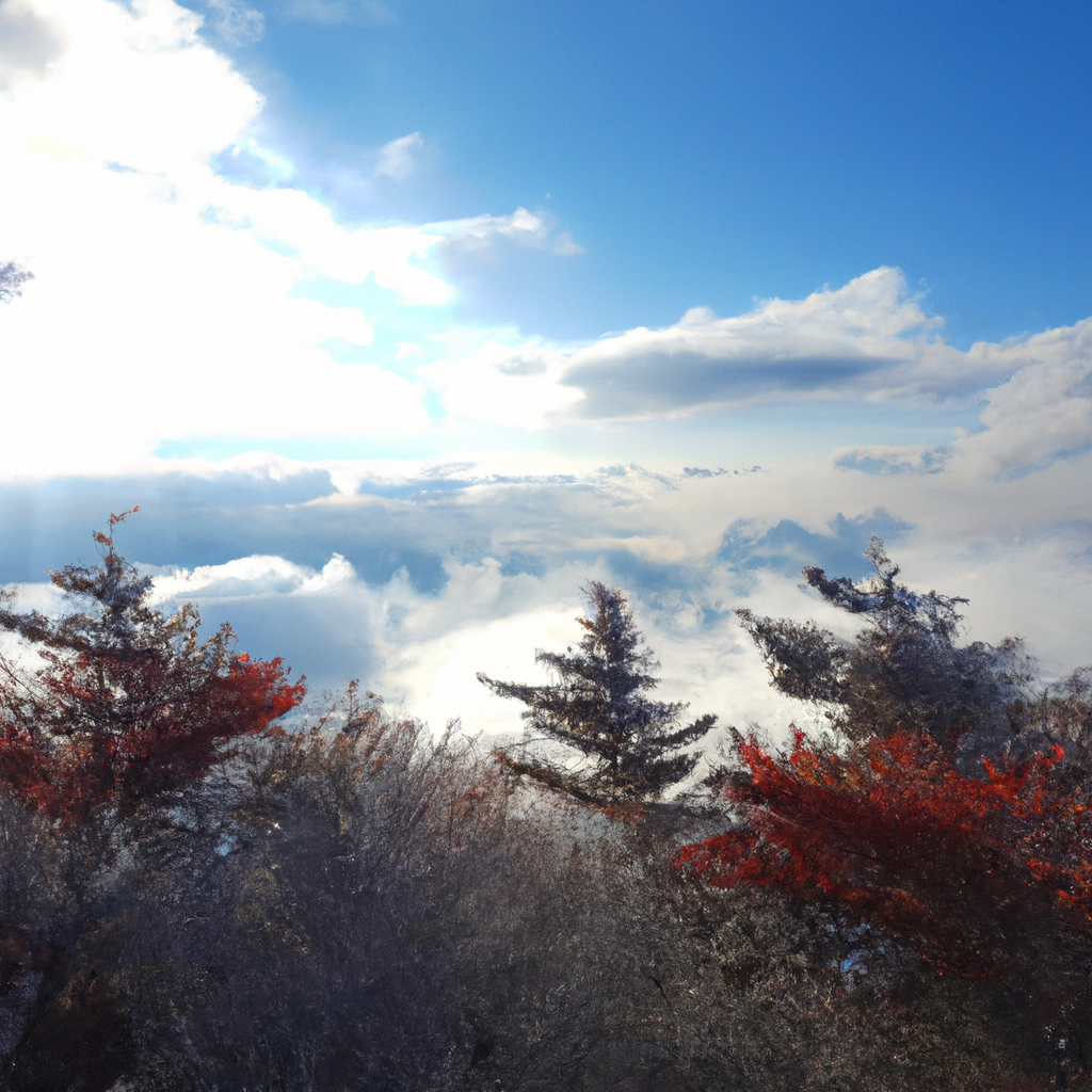 바쁜 아침에도 가능한 5분 스트레칭으로 허리 부담 줄이기