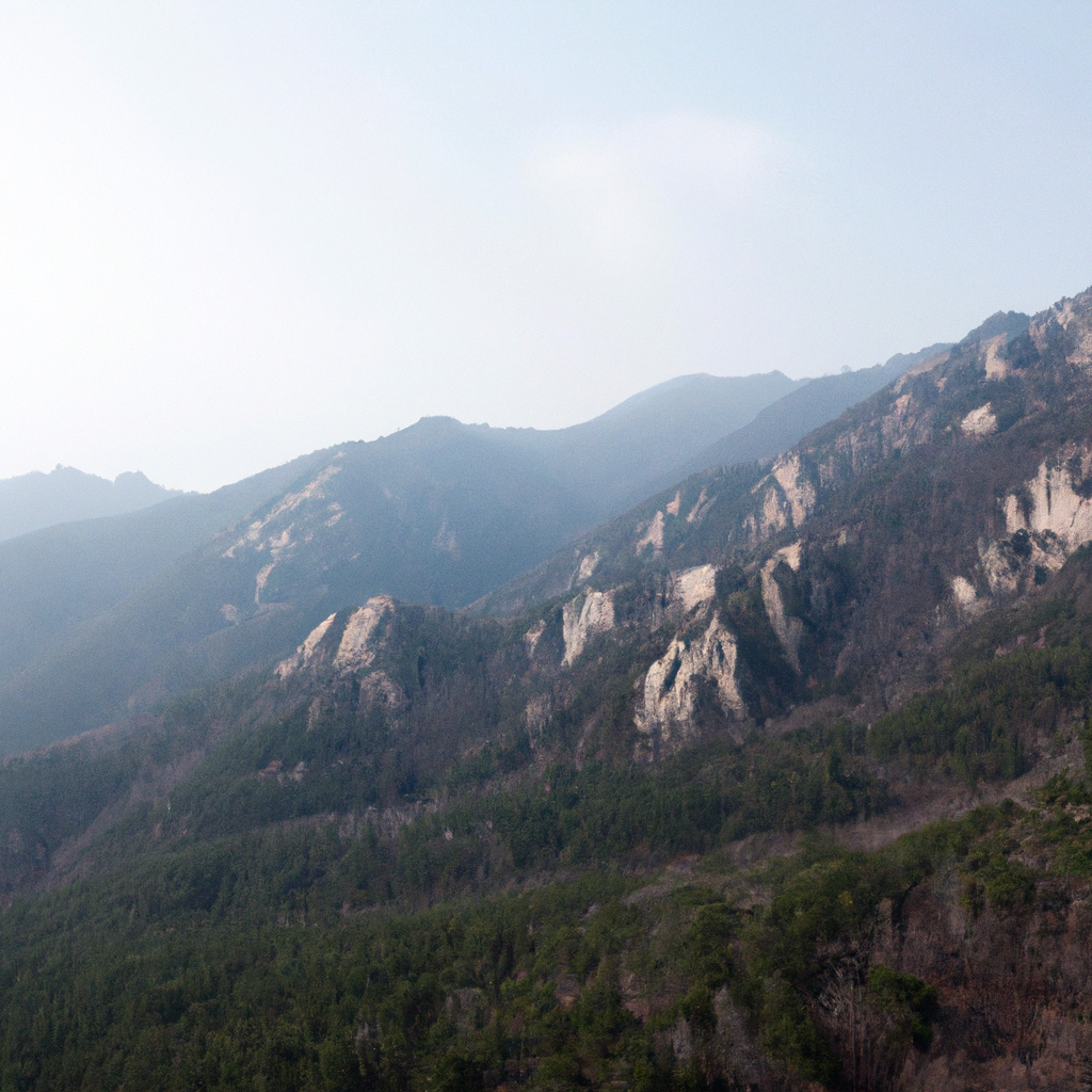 집에서 기르기 쉬운 허브&middot;채소로 식탁을 바꾸는 초간단 가이드
