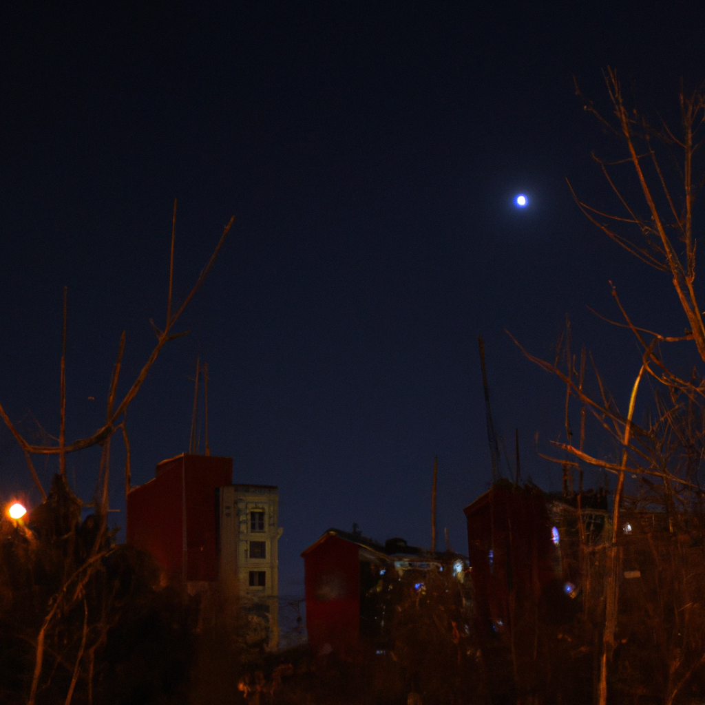 실전 카메라 노출·구도 기본으로 인물 사진 잘 찍는 법