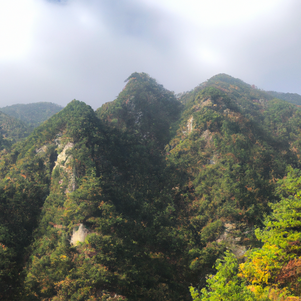 블로그 글 작성 속도 올리는 템플릿과 생산성 도구 활용법