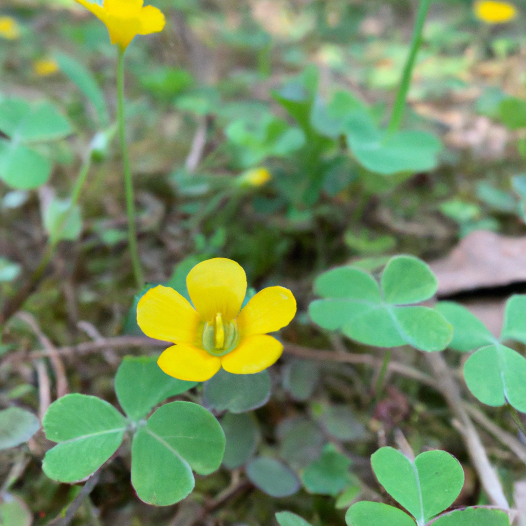 재택 근무 중 아이 돌봄과 업무 균형 잡는 실전 팁 모음