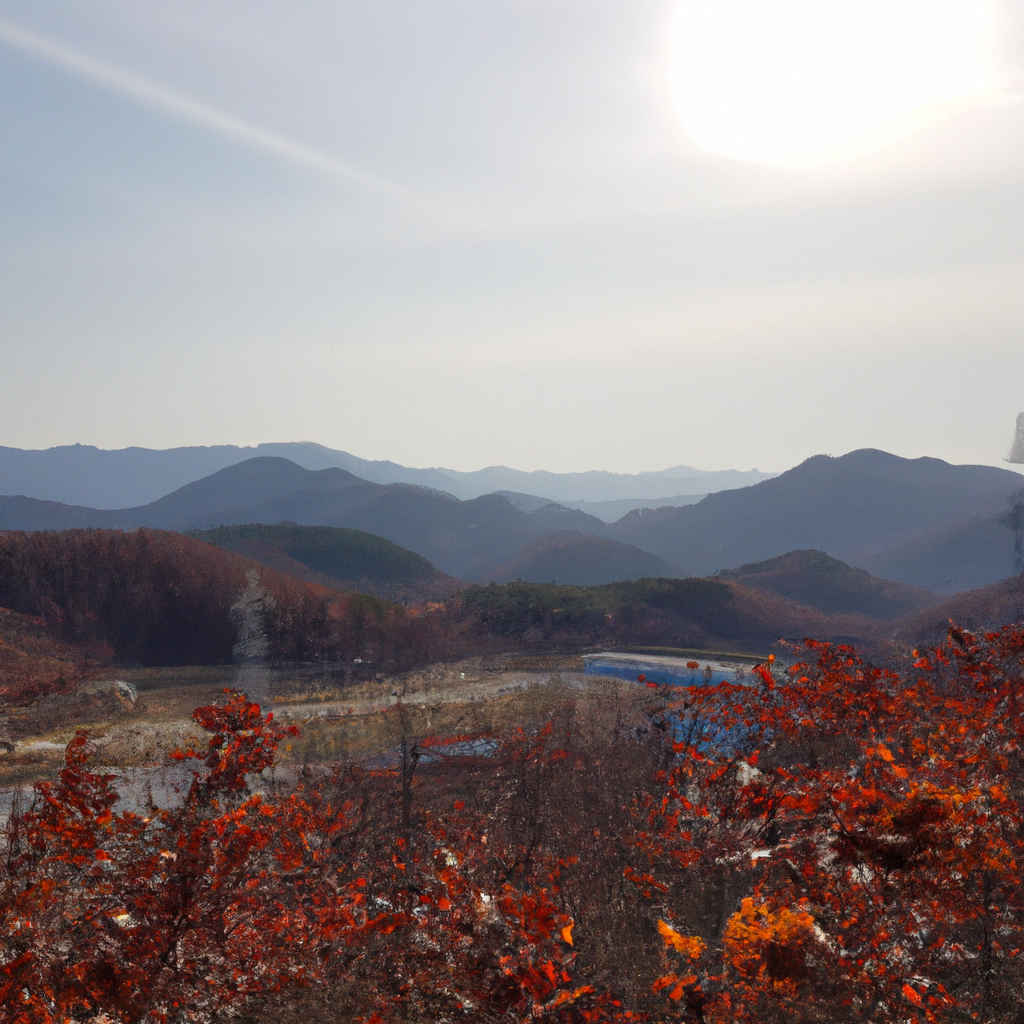 비건 식단으로 한 달 건강하게 생활하는 메뉴 계획과 준비법