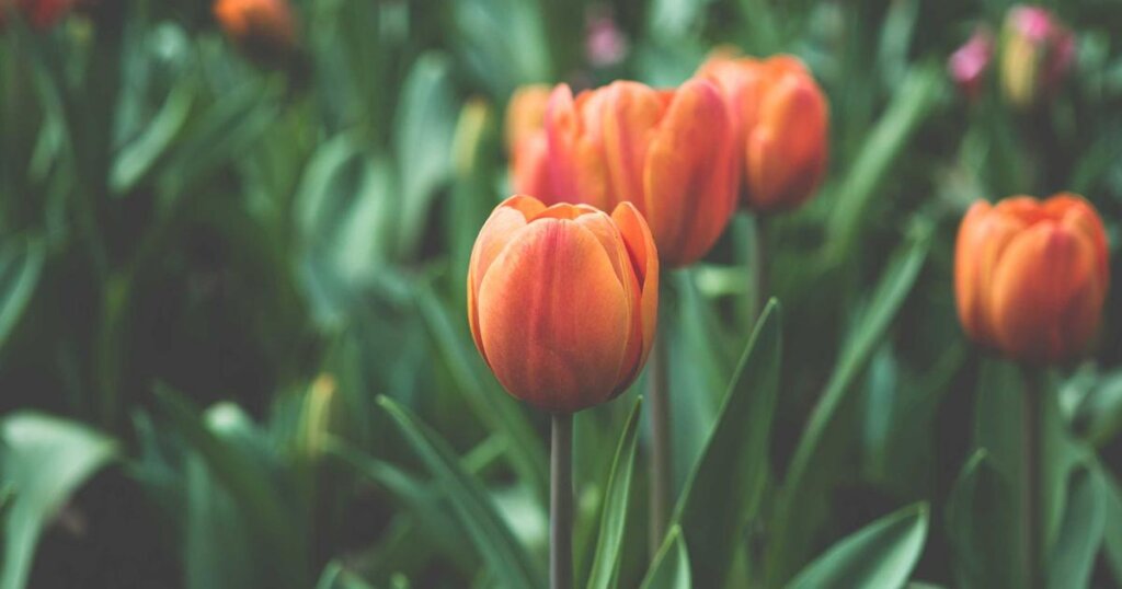노트북 비교의 중요성