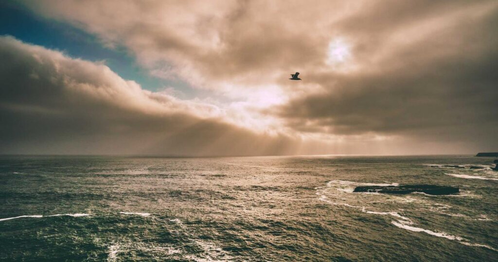 자동화업무 도입 시 고려할 사항