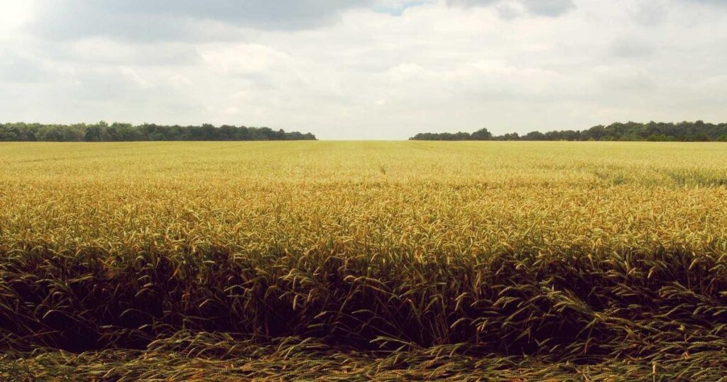 ISA계좌: 투자와 절세를 동시에 누리는 방법