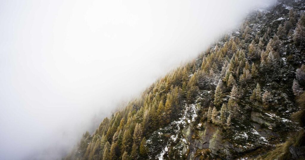 NAS 구축 방법